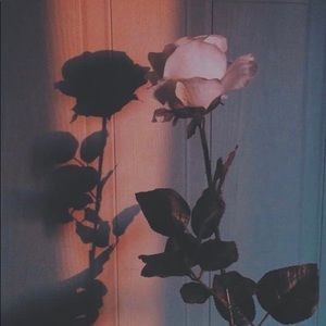 Meet your Posher, Rut